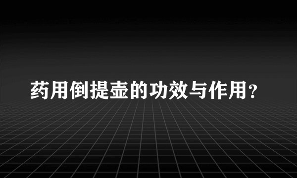药用倒提壶的功效与作用？