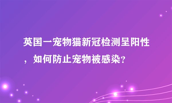 英国一宠物猫新冠检测呈阳性，如何防止宠物被感染？