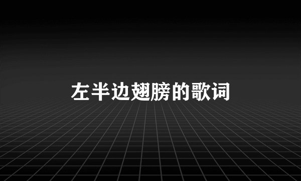 左半边翅膀的歌词
