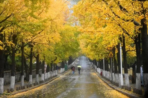 2020年立秋时间是啥时候？今年立秋是几点几分？