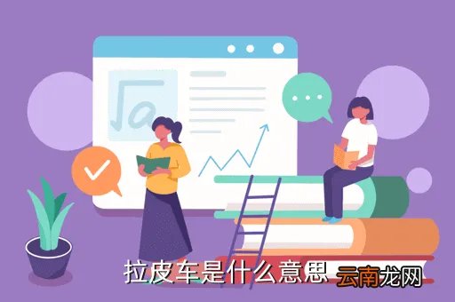 拉皮车是什么意思，拉皮车是什么意思