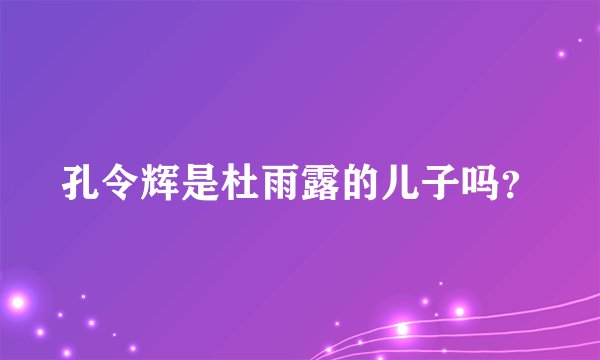 孔令辉是杜雨露的儿子吗？