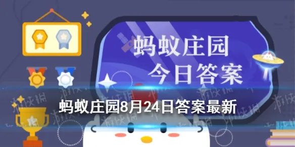 蚂蚁庄园如果要染发答案 前一天最好不洗头8.24