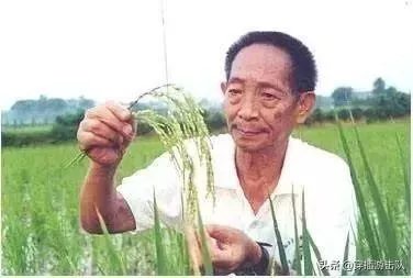 袁隆平真的逝世了吗？