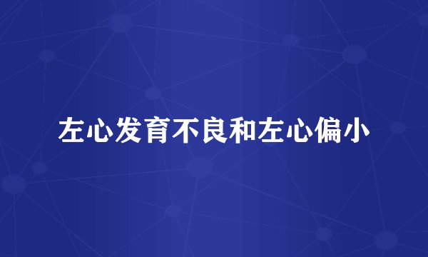 左心发育不良和左心偏小