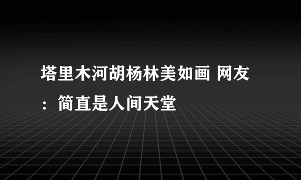 塔里木河胡杨林美如画 网友:简直是人间天堂