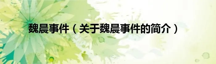 魏晨事件（关于魏晨事件的简介）