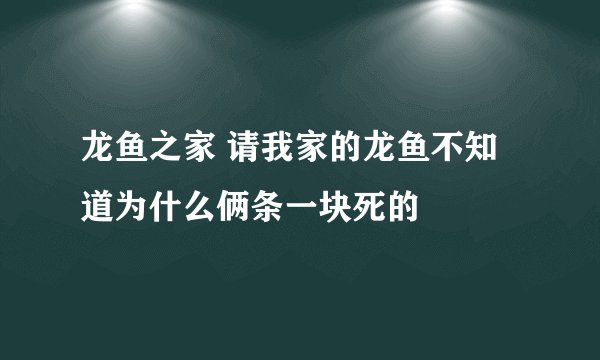 龙鱼之家 请我家的龙鱼不知道为什么俩条一块死的