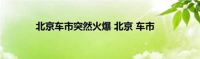 北京车市突然火爆 北京 车市