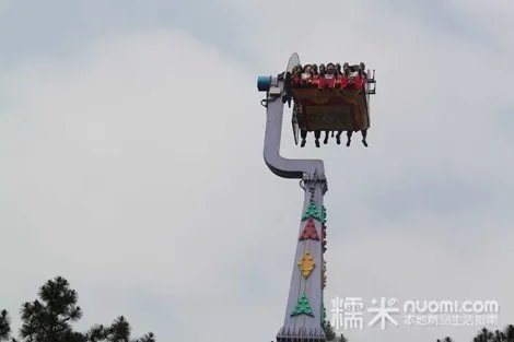 乐林文化的简介
