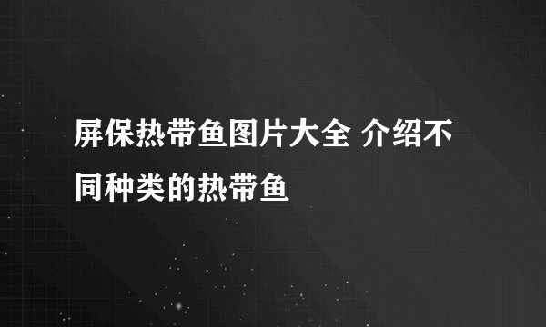 屏保热带鱼图片大全 介绍不同种类的热带鱼