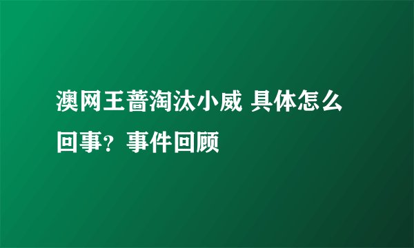 澳网王蔷淘汰小威 具体怎么回事？事件回顾