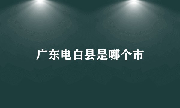 广东电白县是哪个市