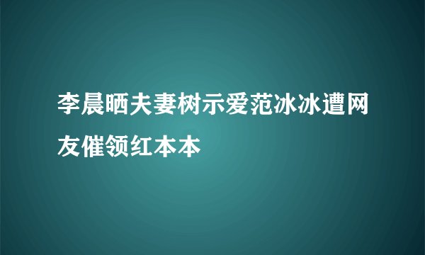 李晨晒夫妻树示爱范冰冰遭网友催领红本本