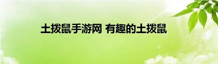 土拨鼠手游网 有趣的土拨鼠