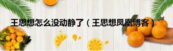 王思想怎么没动静了（王思想凤凰博客）