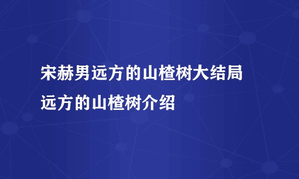 宋赫男远方的山楂树大结局 远方的山楂树介绍