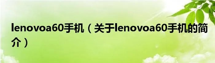 lenovoa60手机（关于lenovoa60手机的简介）