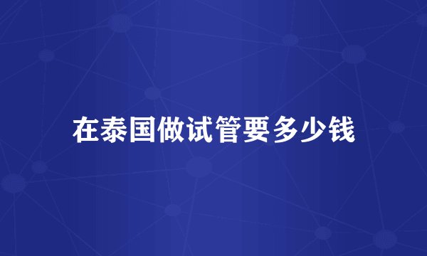 在泰国做试管要多少钱