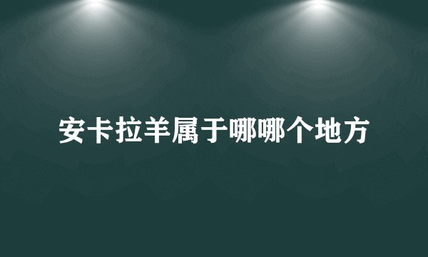 安卡拉羊属于哪哪个地方