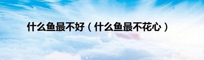 什么鱼最不好（什么鱼最不花心）