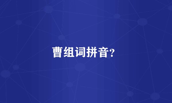 曹组词拼音？