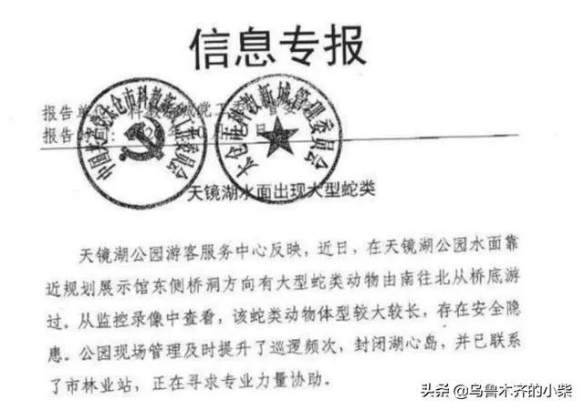 天镜湖大蛇究竟是谁先发现的?