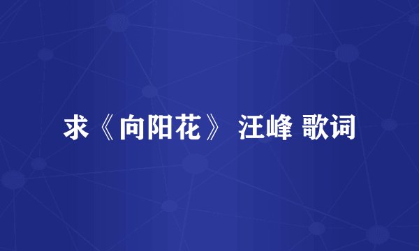 求《向阳花》 汪峰 歌词