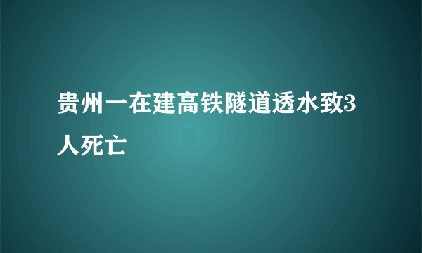 贵州一在建高铁隧道透水致3人死亡