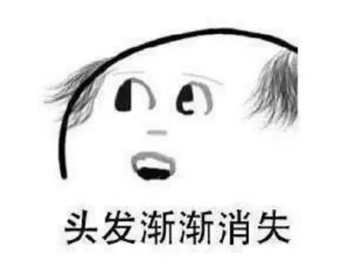 北京动物园网红大熊猫突然头秃 网友:难道它也写代码?