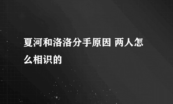 夏河和洛洛分手原因 两人怎么相识的