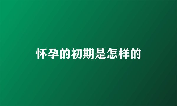 怀孕的初期是怎样的