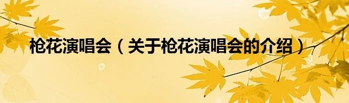 枪花演唱会（关于枪花演唱会的介绍）