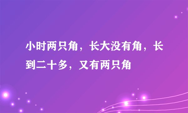 小时两只角，长大没有角，长到二十多，又有两只角