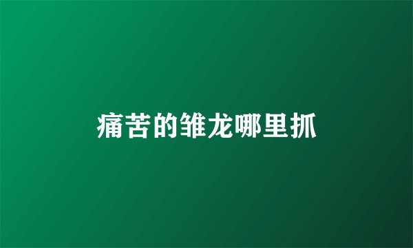 痛苦的雏龙哪里抓