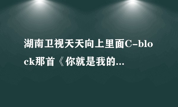 湖南卫视天天向上里面C-block那首《你就是我的fat girl》哪里有下载