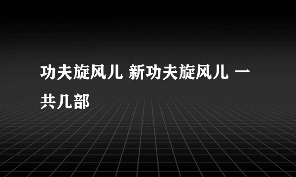 功夫旋风儿 新功夫旋风儿 一共几部
