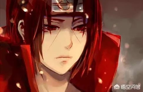 鼬的实力是什么水平