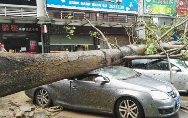 台风掀12米狂浪
