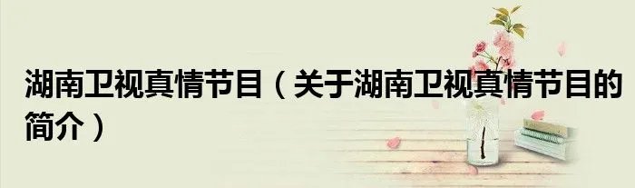 湖南卫视真情节目（关于湖南卫视真情节目的简介）