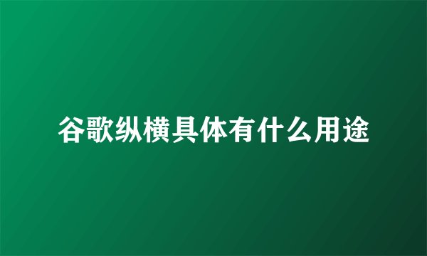 谷歌纵横具体有什么用途