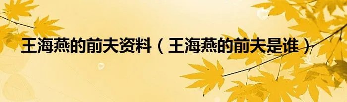 王海燕的前夫资料（王海燕的前夫是谁）
