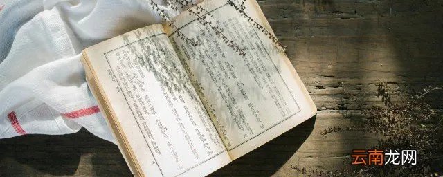 秦苒程隽小说简介 秦苒程隽小说的简介