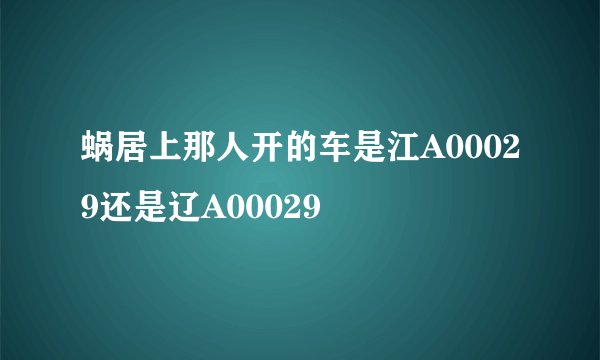 蜗居上那人开的车是江A00029还是辽A00029