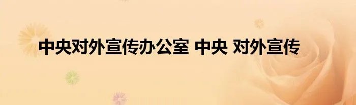 中央对外宣传办公室 中央 对外宣传