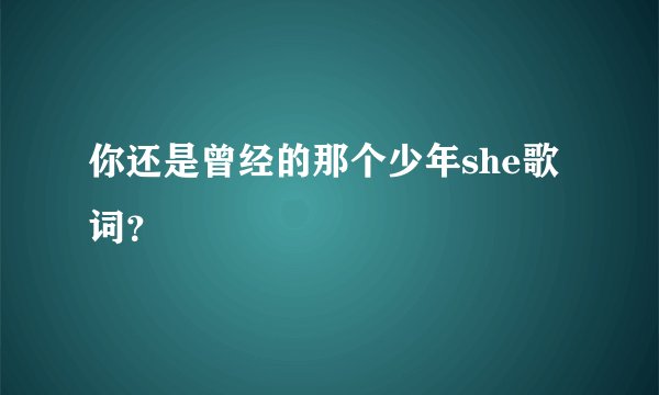 你还是曾经的那个少年she歌词？