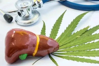 肝功碱性磷酸酶高是怎么回事