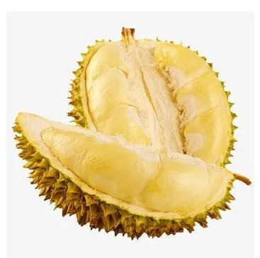 49吨榴莲销毁成有机肥，榴莲也能做有机肥吗？