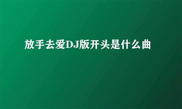 放手去爱DJ版开头是什么曲