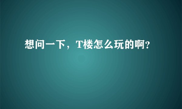 想问一下，T楼怎么玩的啊？